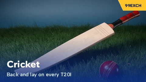 Willow cricket bat and red ball on grass on the 99Exch cricket tile for T20I back and lay